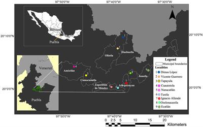 Edible plants as a complement to the diet of peasant farmers: a case study of the Totonacapan region of Puebla, Mexico